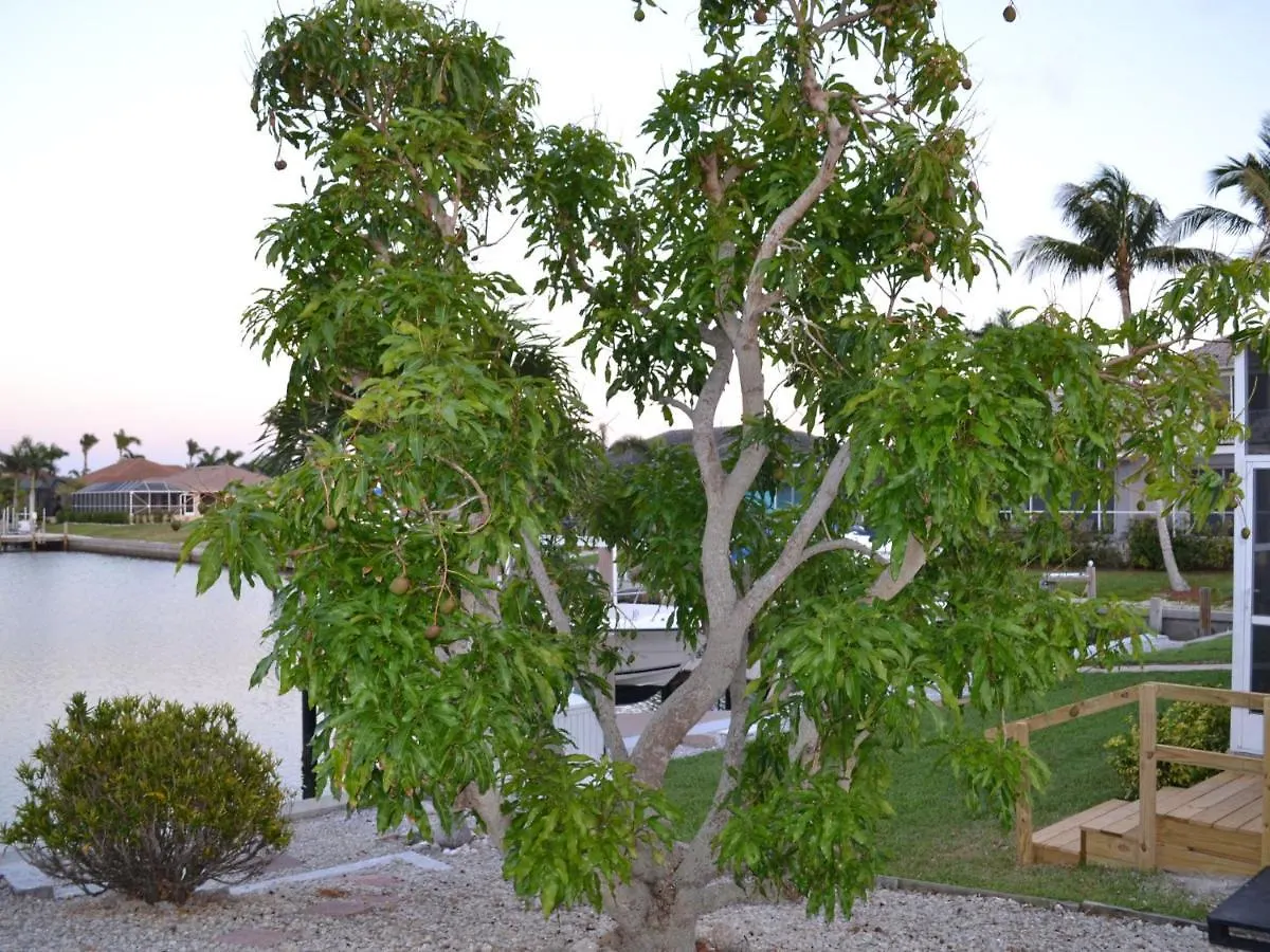 Holiday home Villa Marco Island