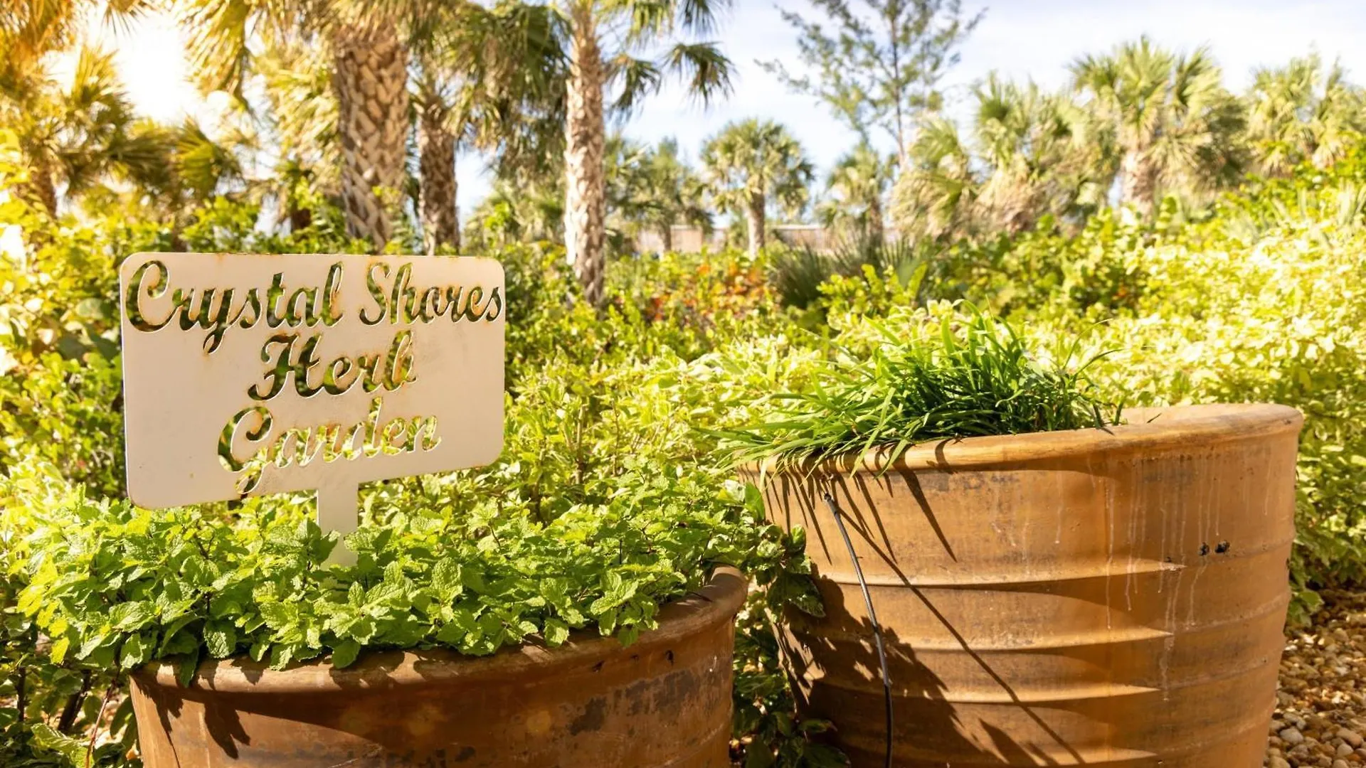 Hotel Marriott's Crystal Shores