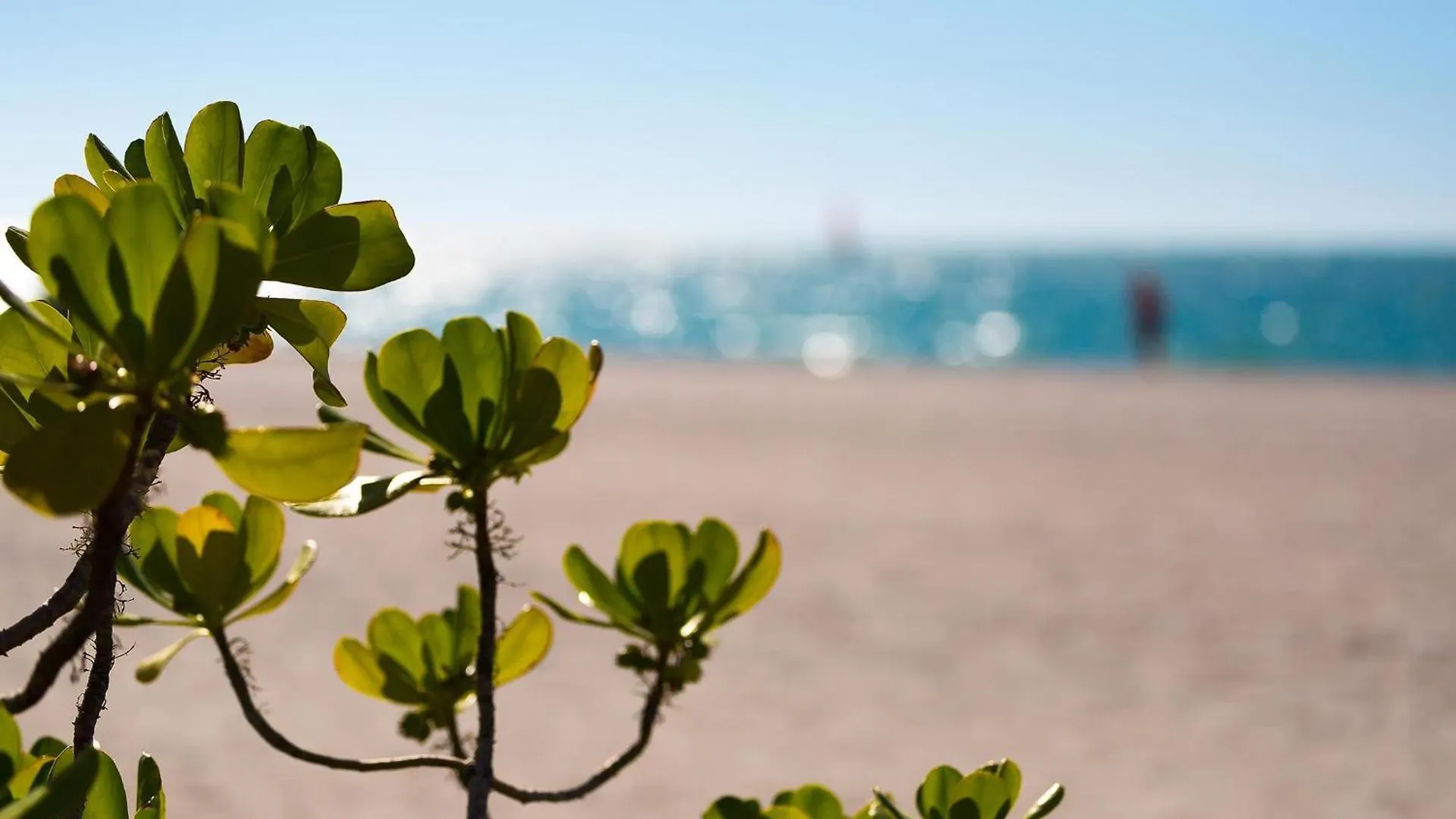 Holiday home Somerset 812 Marco Island