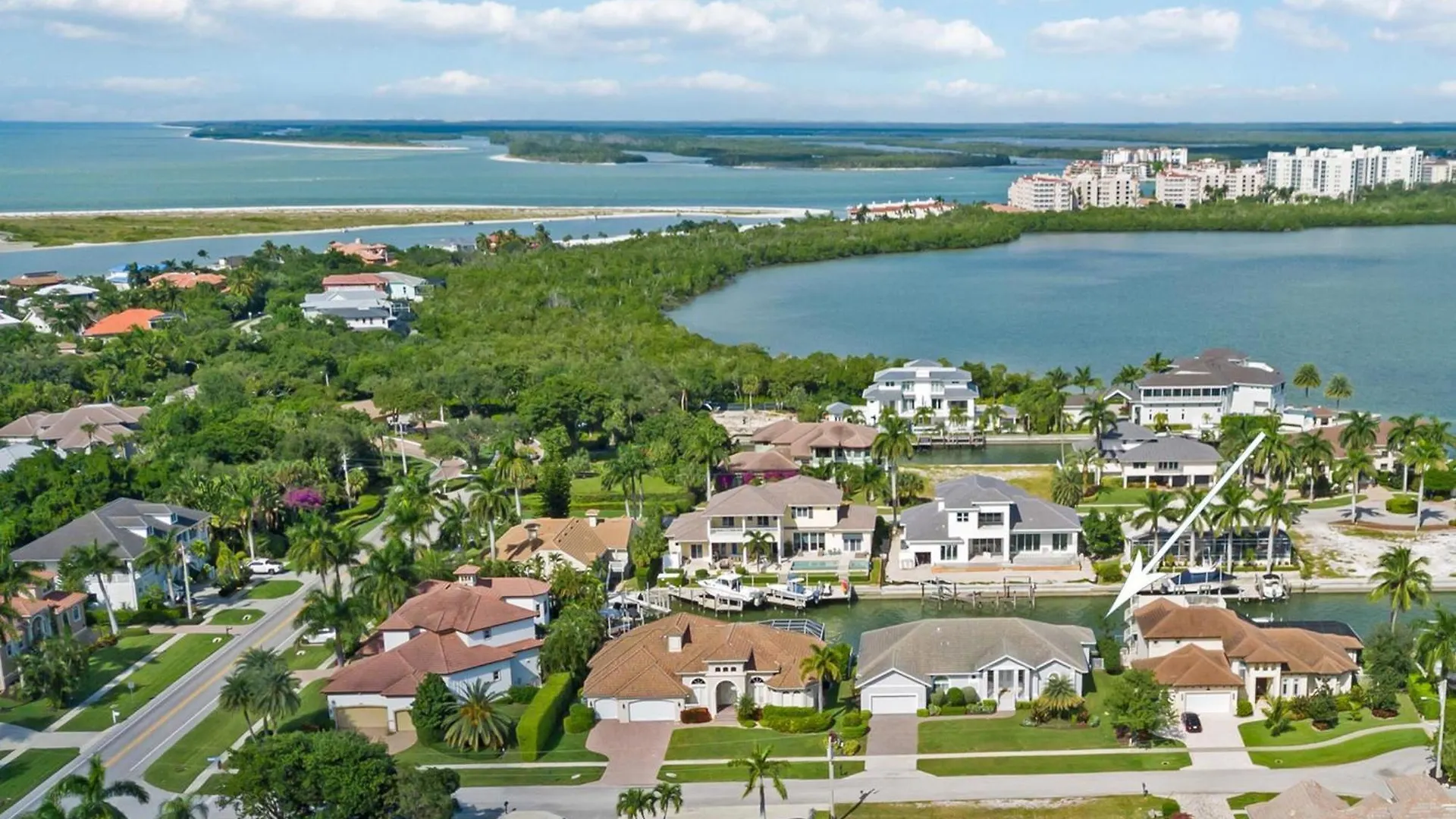Blue Jasmin * Marco Island