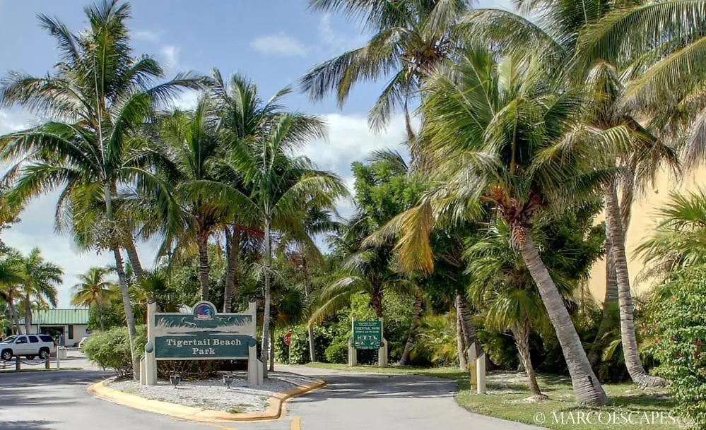 Kendall Drive Marco Island