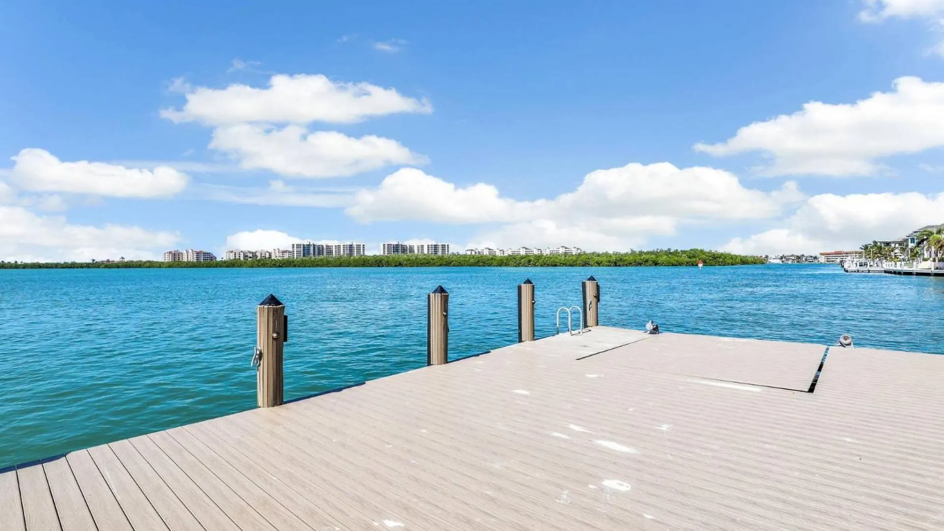 Delphino Marco Island