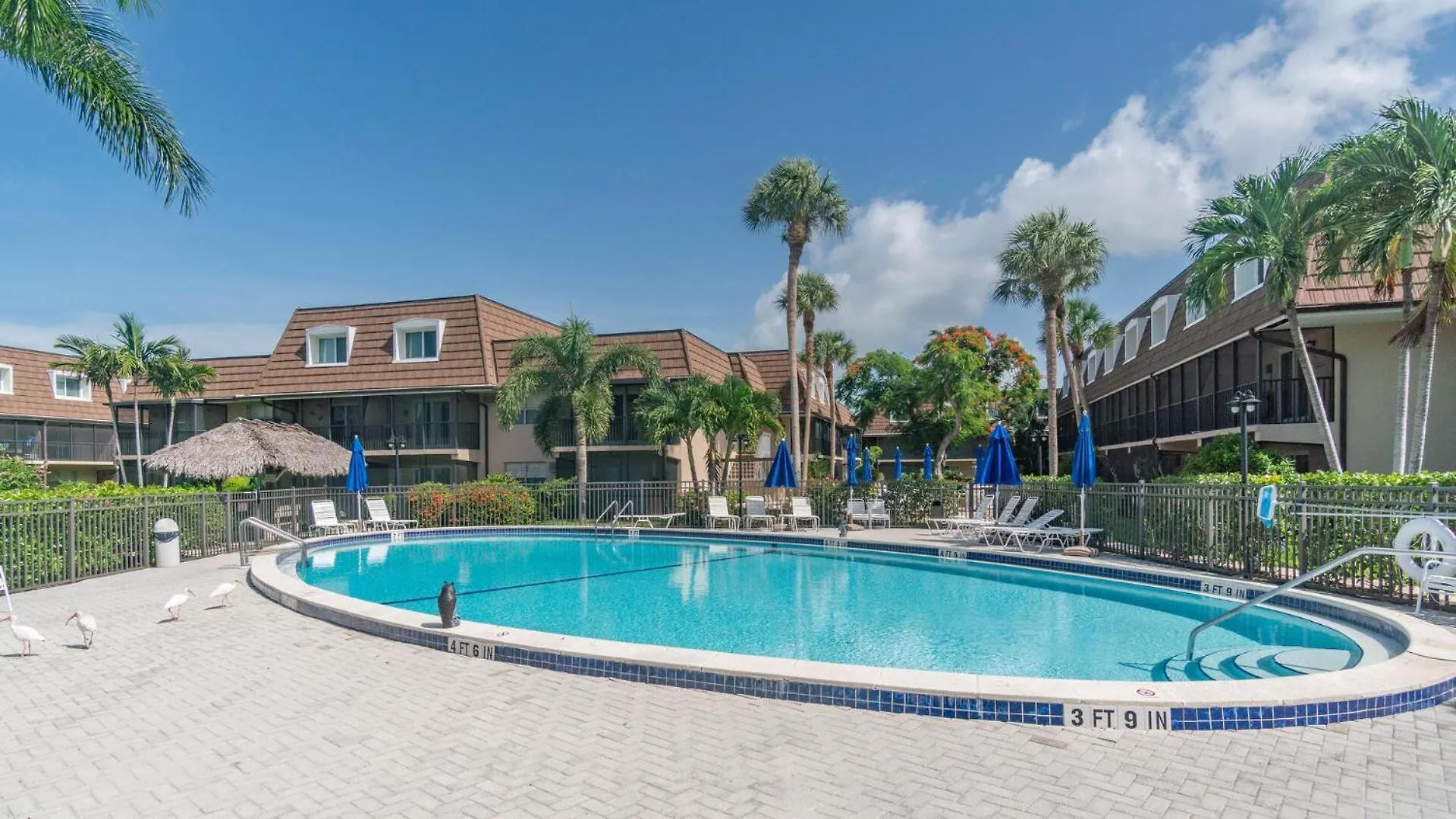 Island Manor K-4 Apartment *