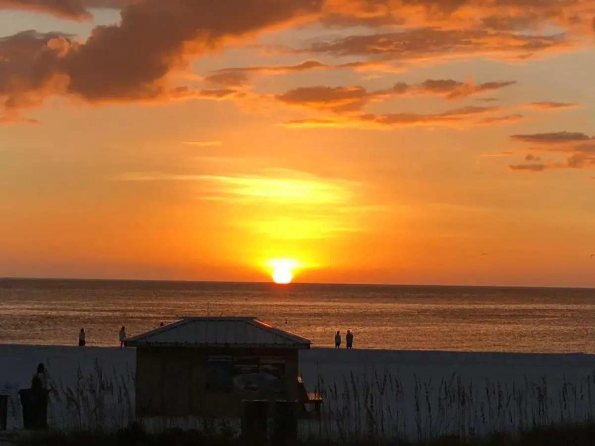 5 Min. Walk-luxurious Modern Pool Marco Island
