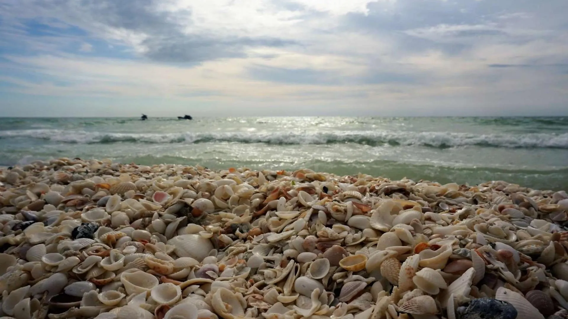 Collier #202 Marco Island