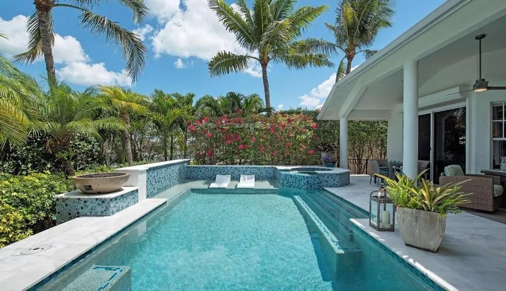 Boungainvillea * Marco Island